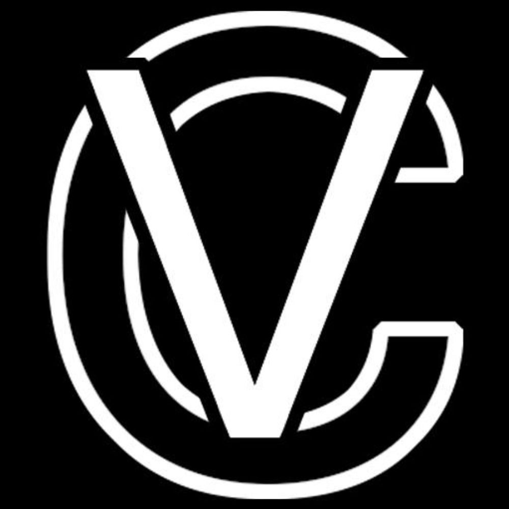 VoVillia Corp.'s avatar