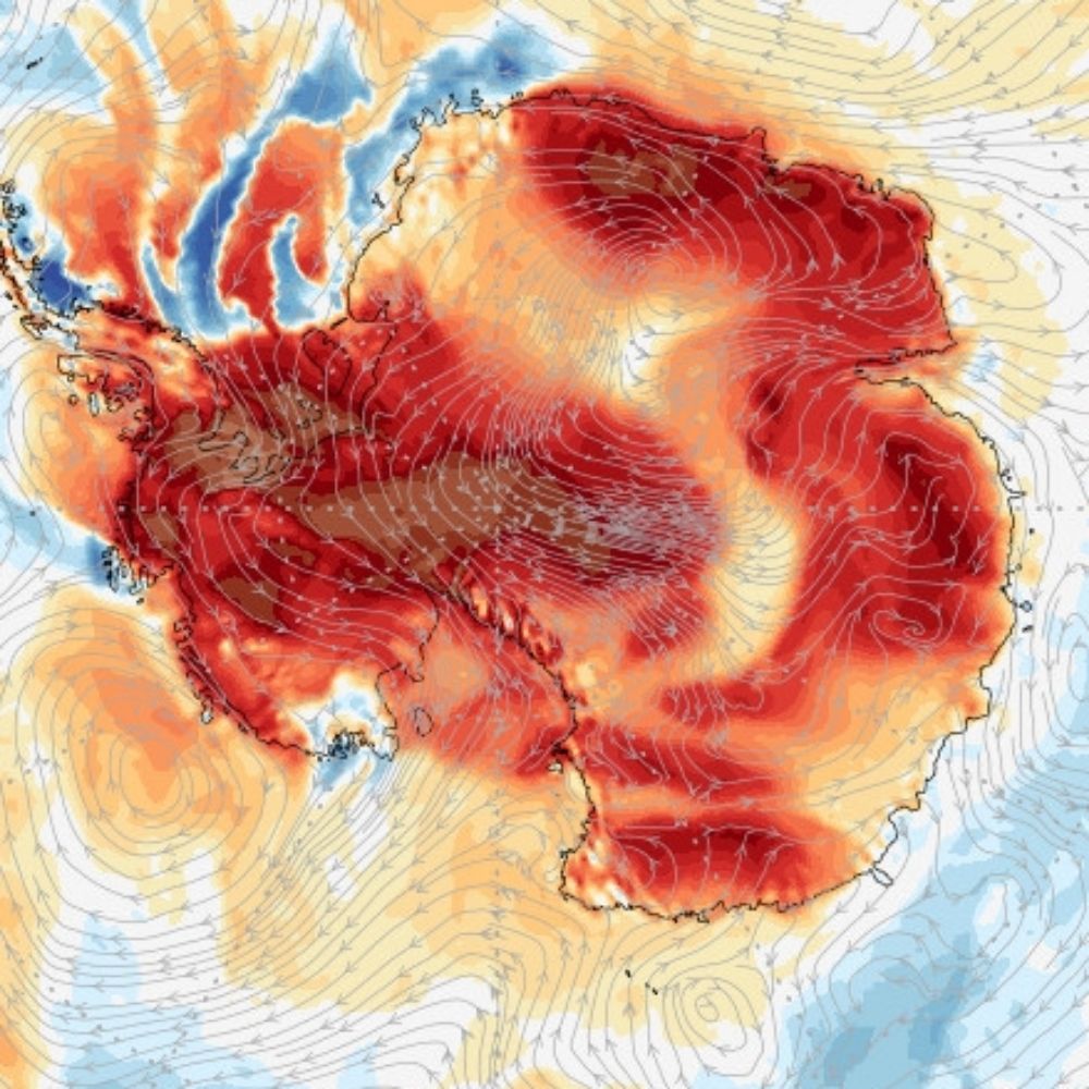 Climate Emergency