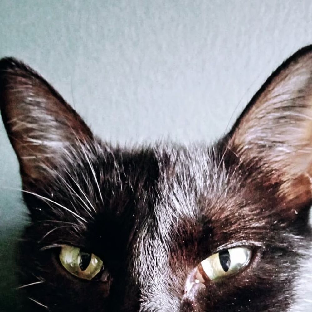 sue
