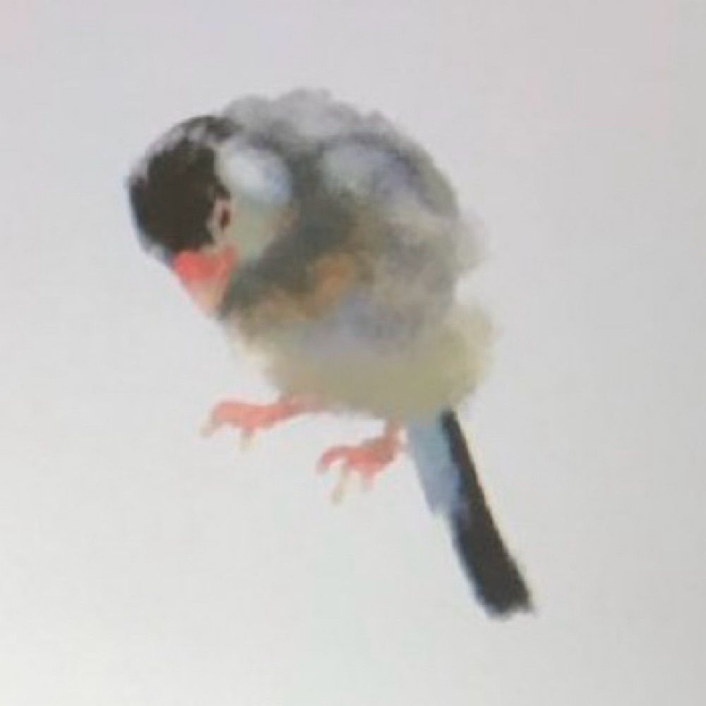 かよ