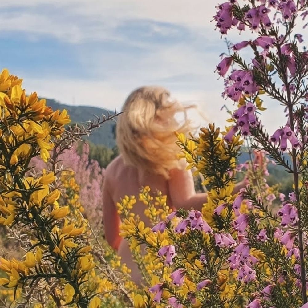Divindade-ak
