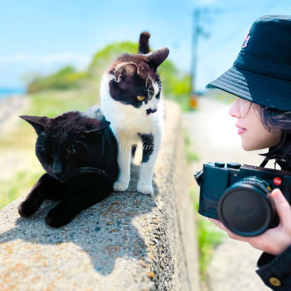 黒まい