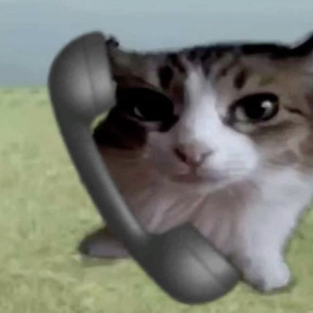 sasa