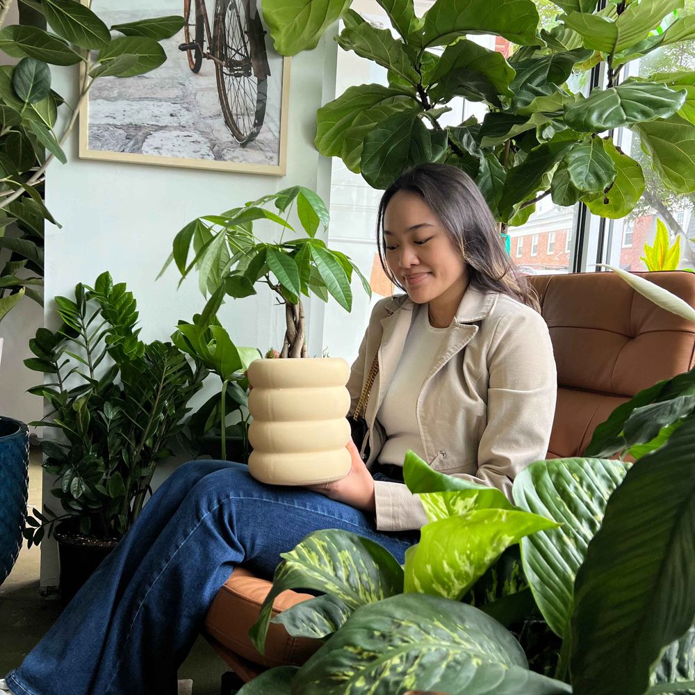 Elora | houseplants visual diary 🌿