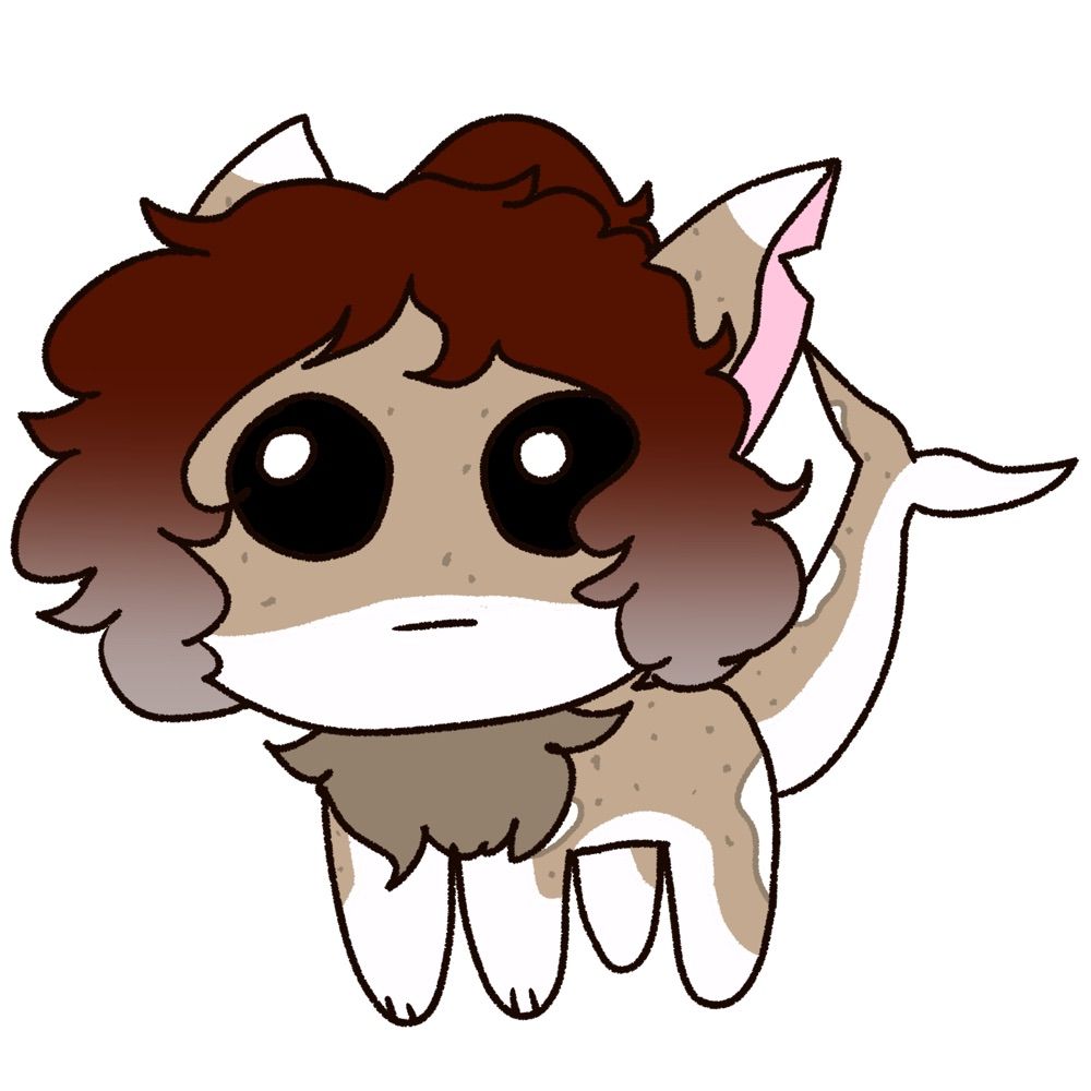 Samsu
