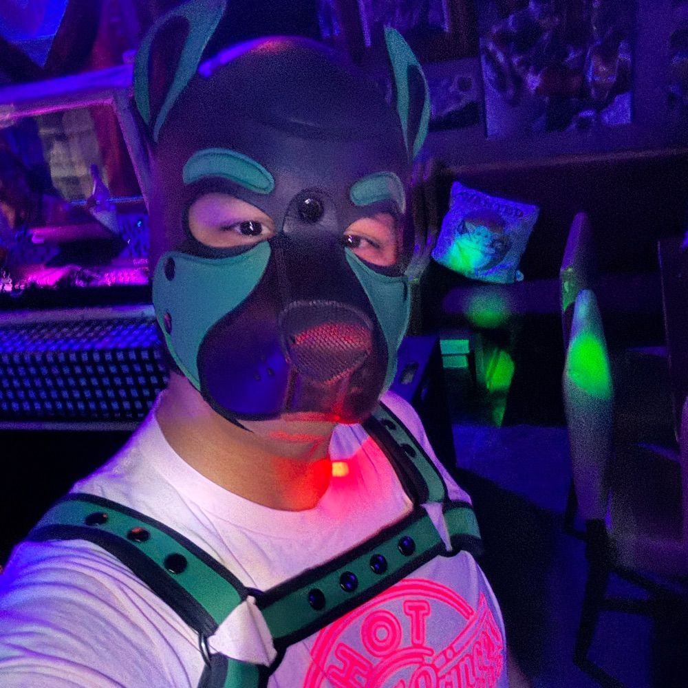 Pup Javi 🔜 DC World Pride