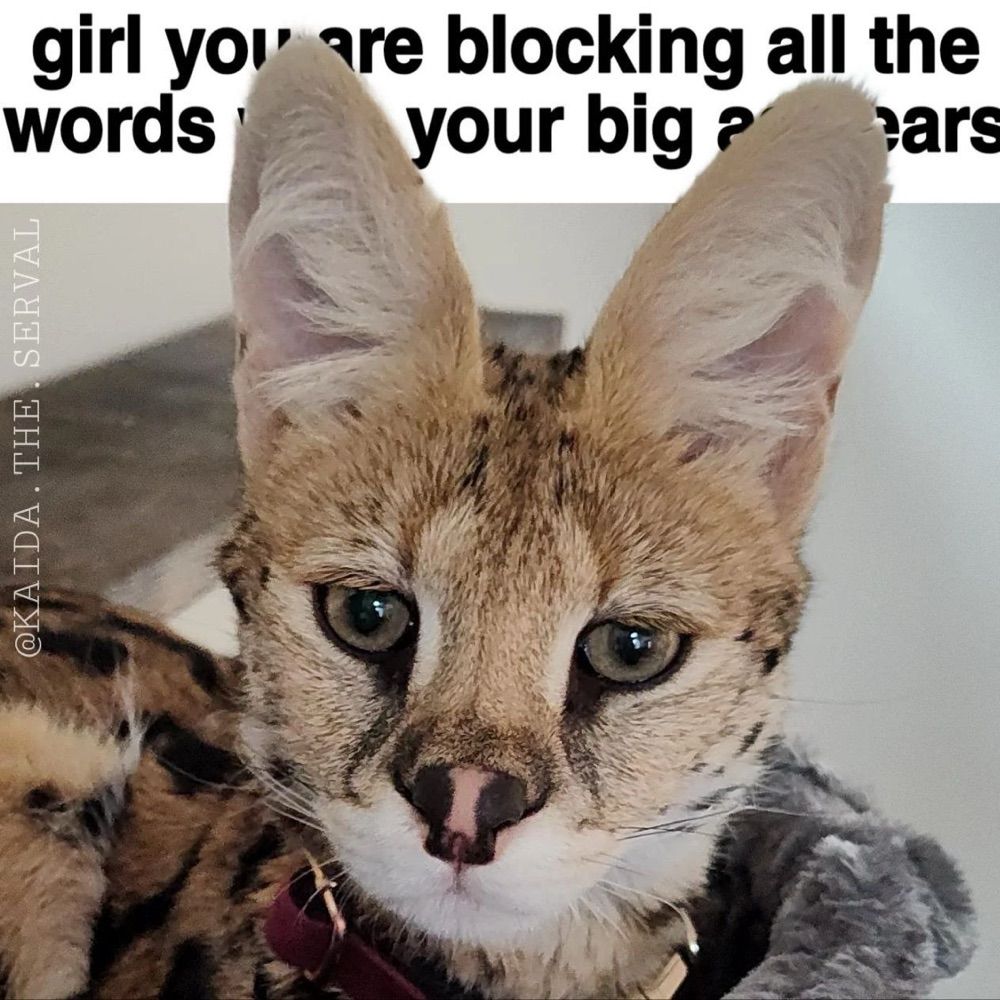 hhhhhhhh