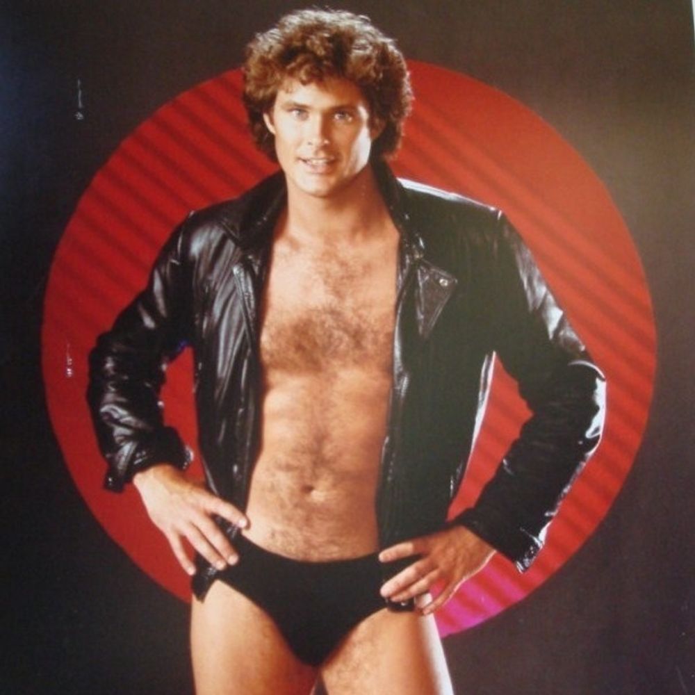 The Hoff