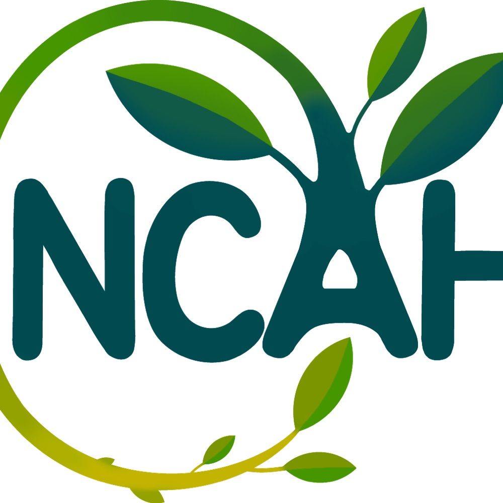 Nanaimo Climate Action Hub