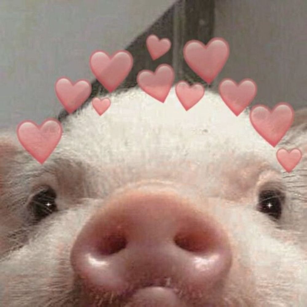 imellie
