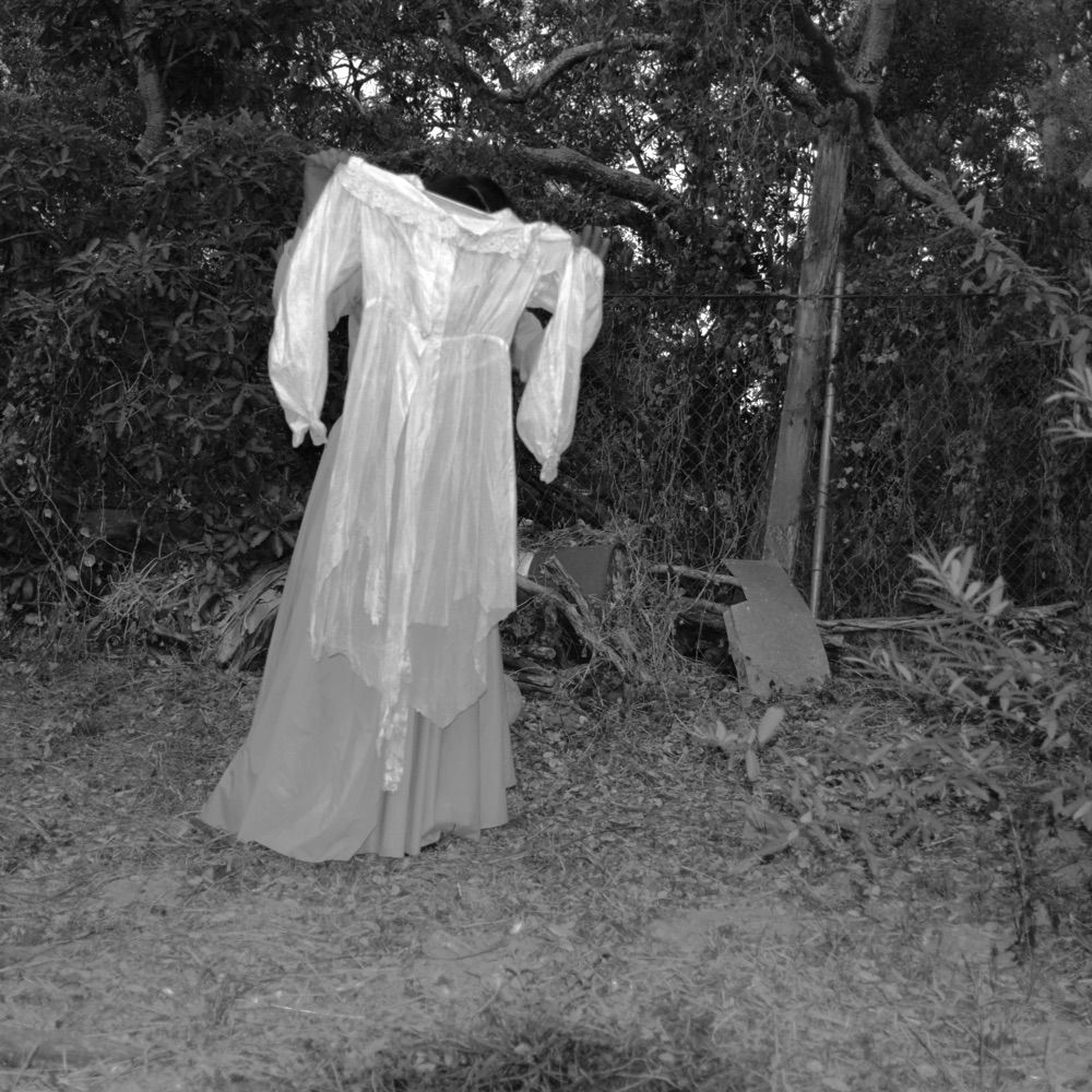 Fabric_of_little_wings