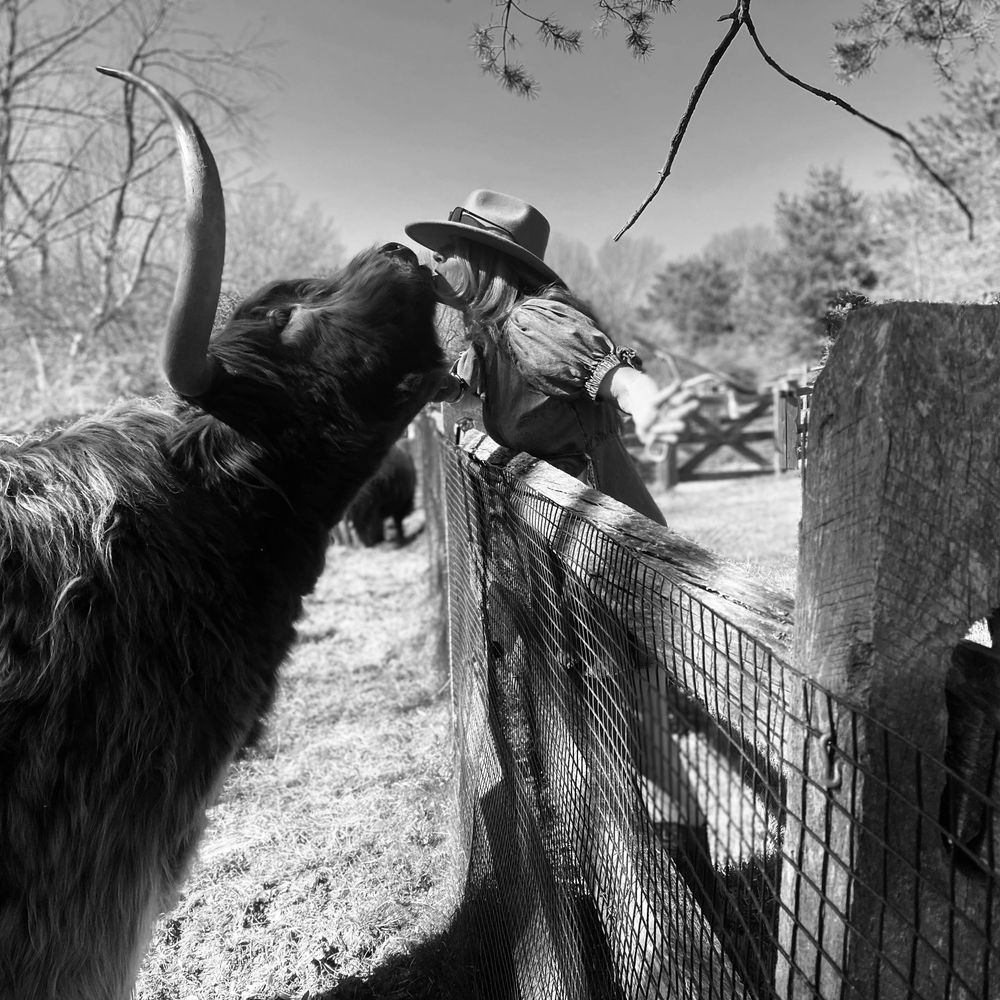Noble No Bull … 