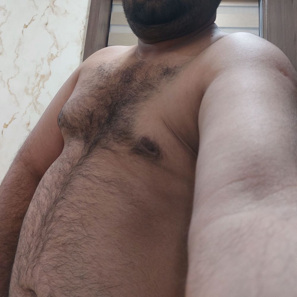 wrbear