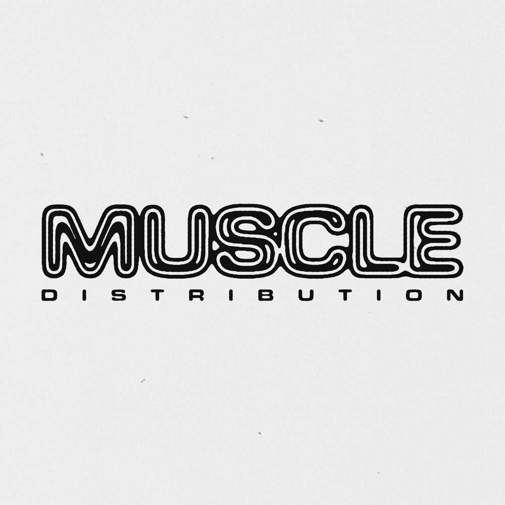 Muscle Distribution