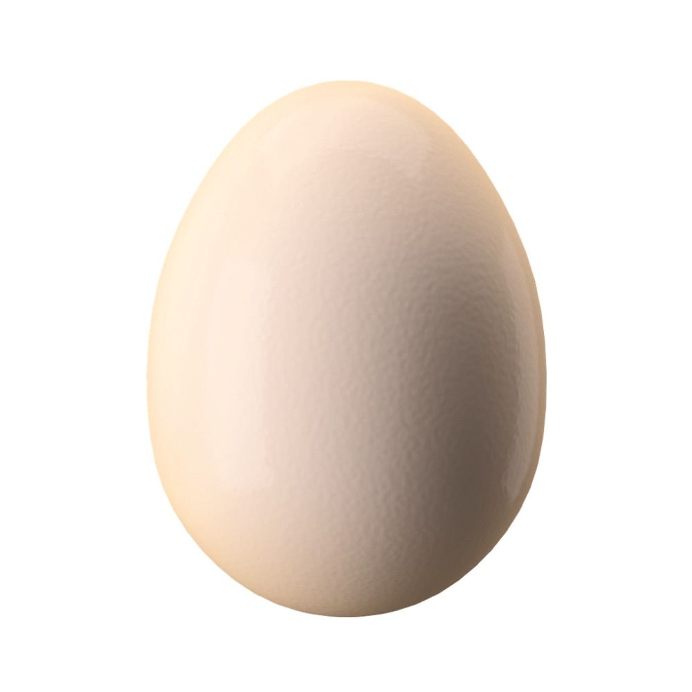 Profile picture worldrecord-egg.bsky.social