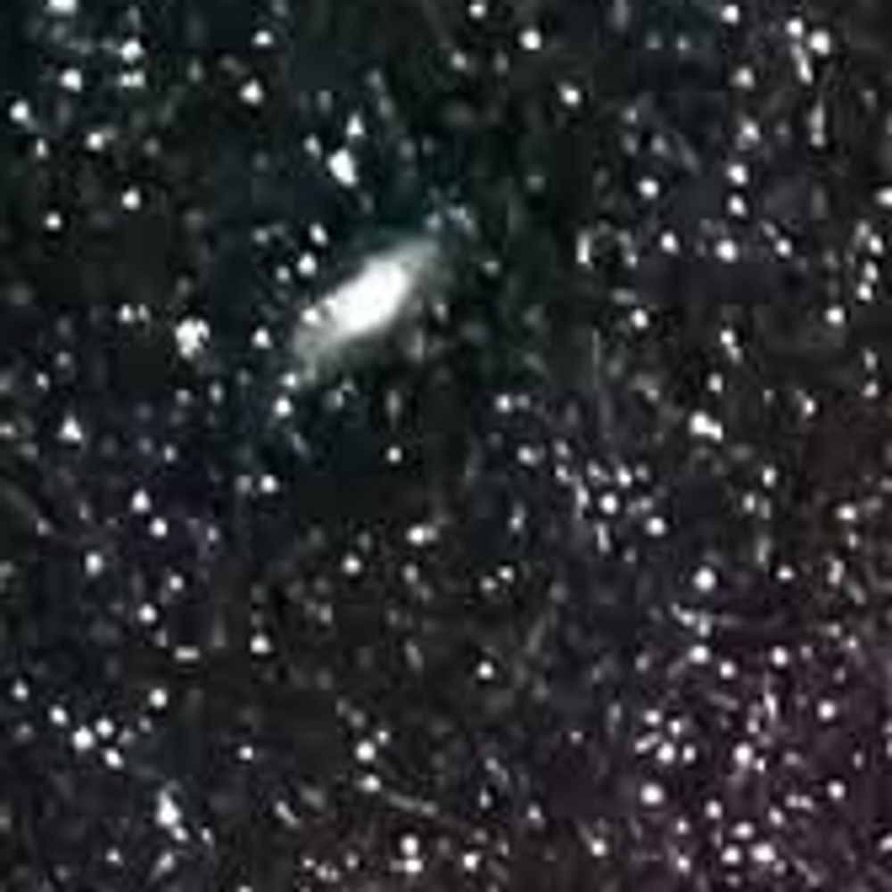 Astronomy & Space