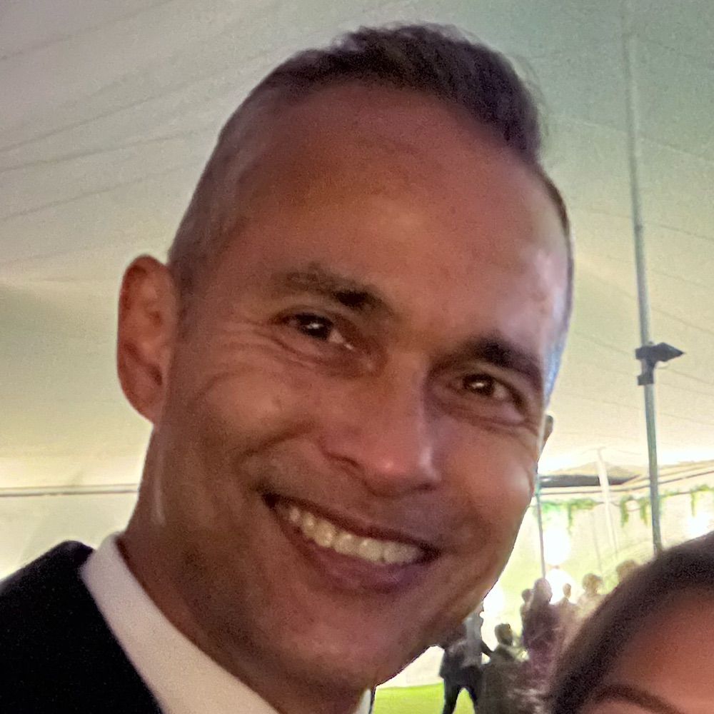 Martin van den Hemel