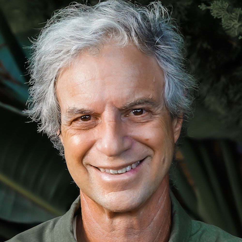 Jeff Greenwald