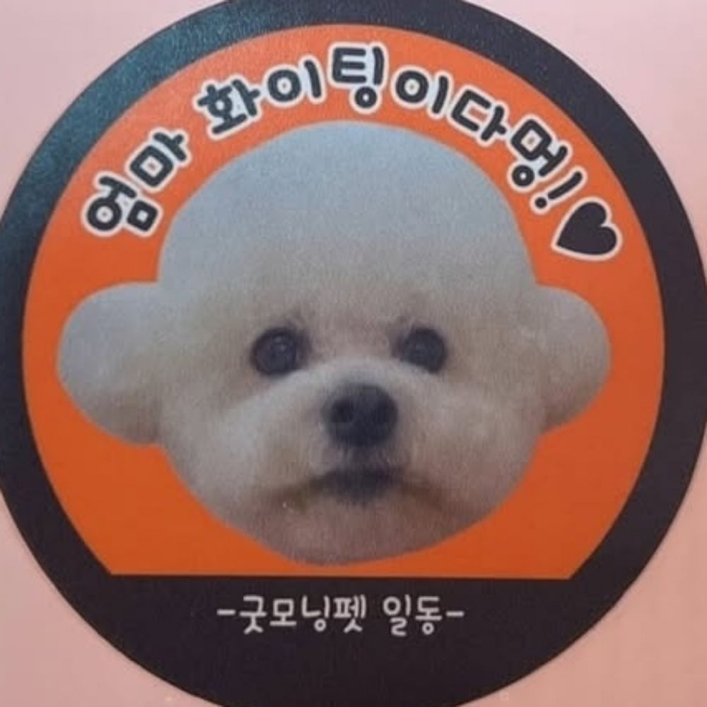뽀미