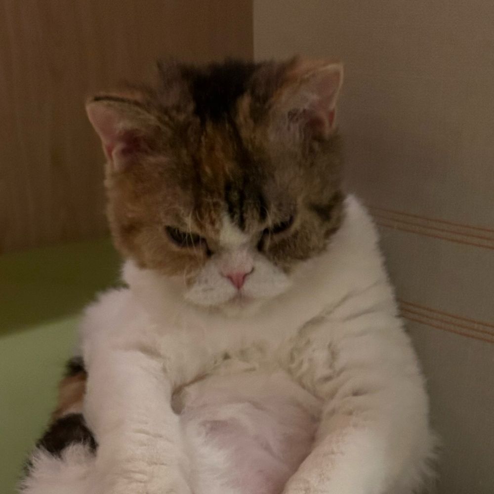 チャソモ