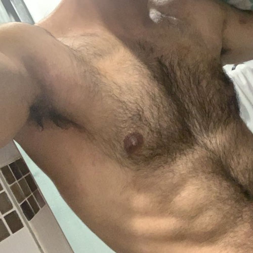 gauchosafado