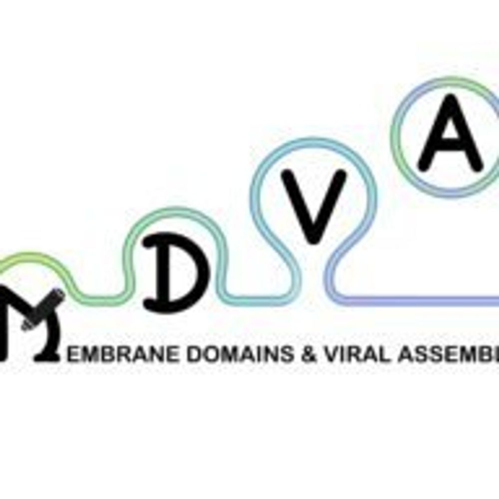 @VirAssemblyLab
