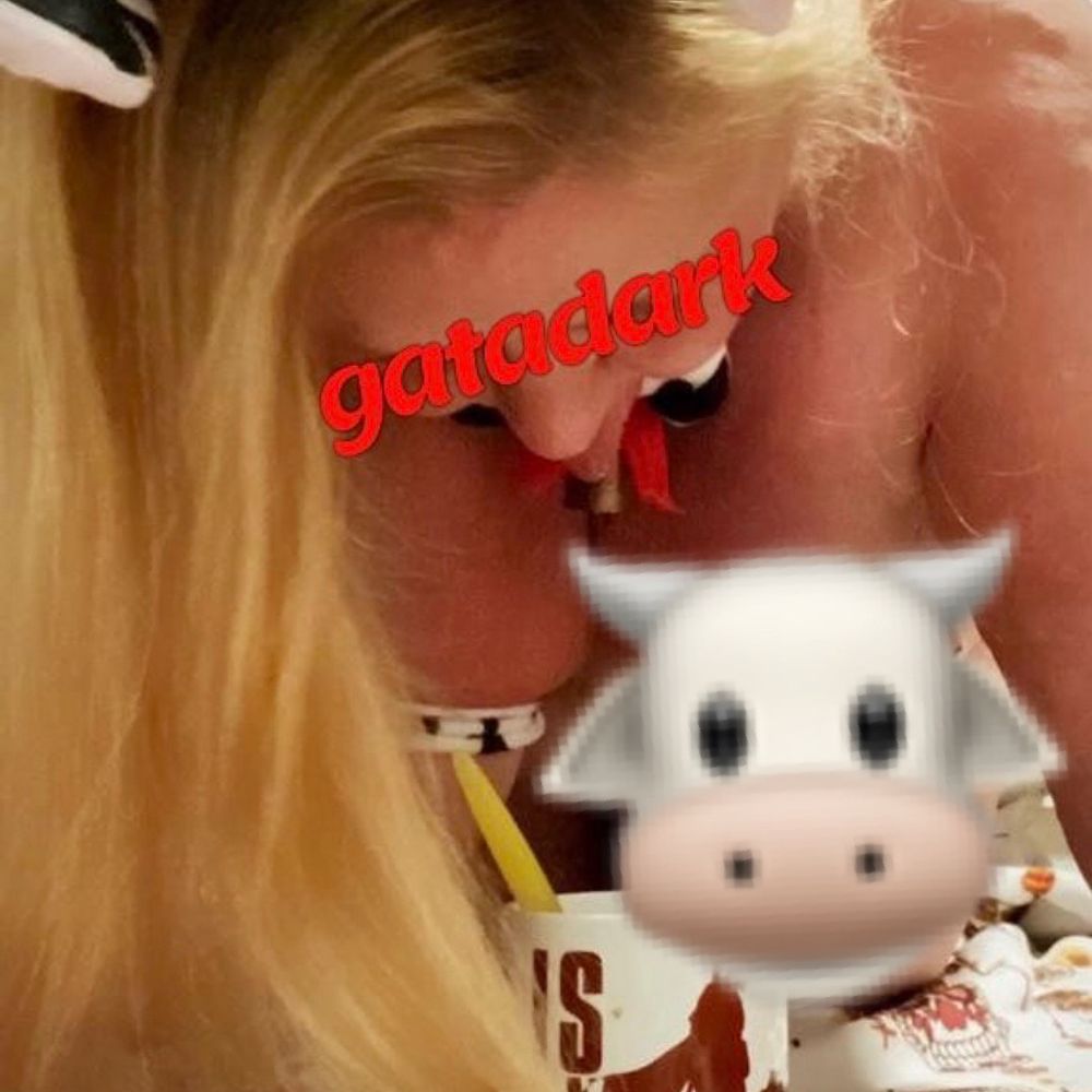 gata💄