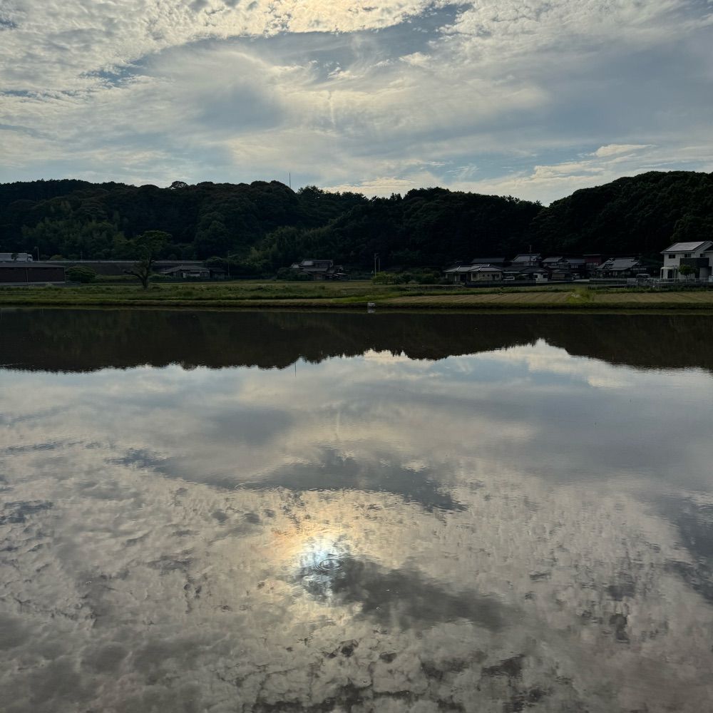 リーフ