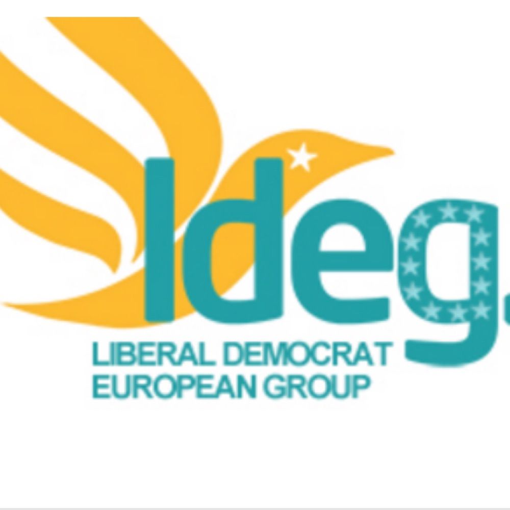 Liberal Democrat European Group