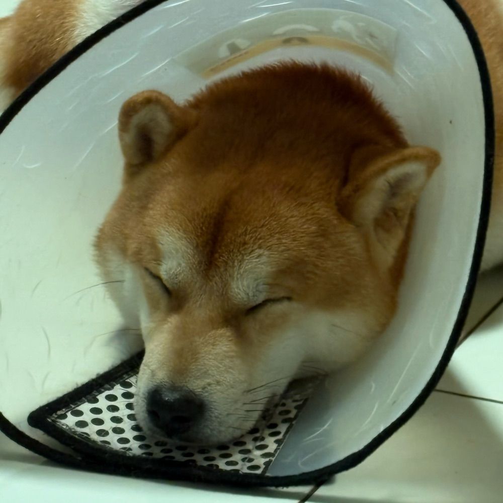 方