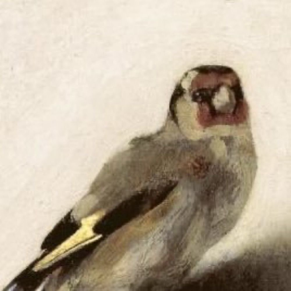 the goldfinch bot