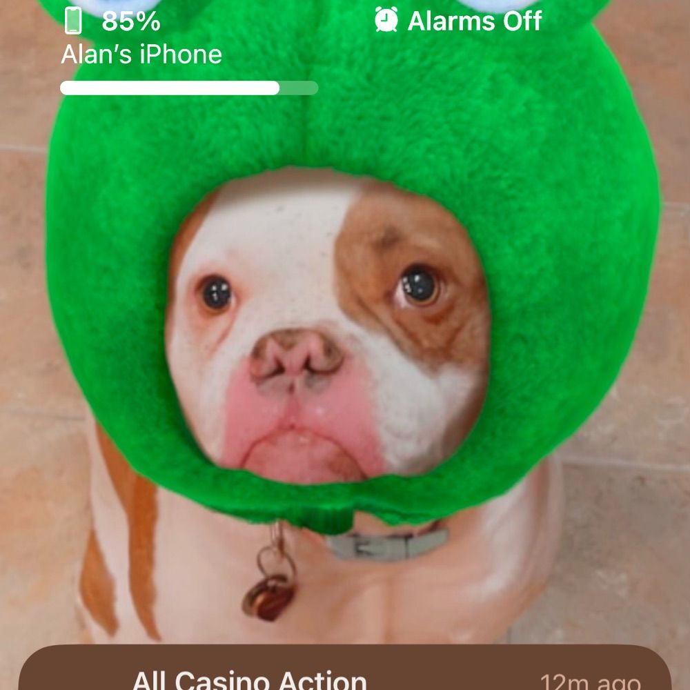 User avatar