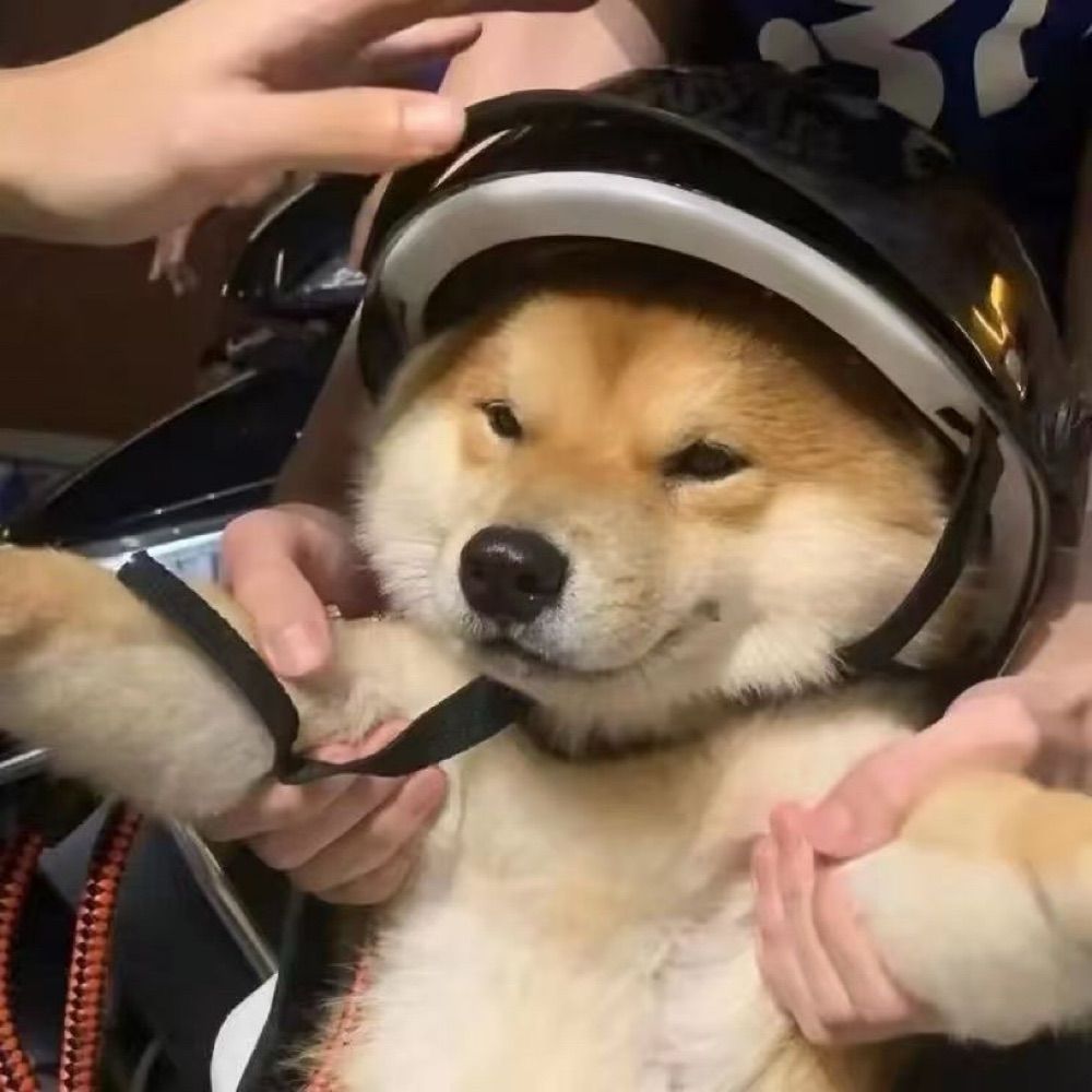 忝忝臭脚