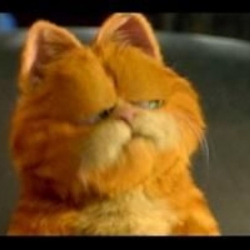 slapdash84.bsky.social profile picture