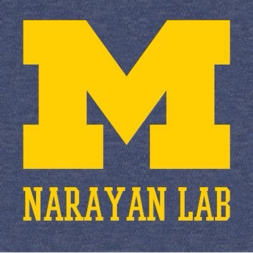 Narayan Lab @ UMich