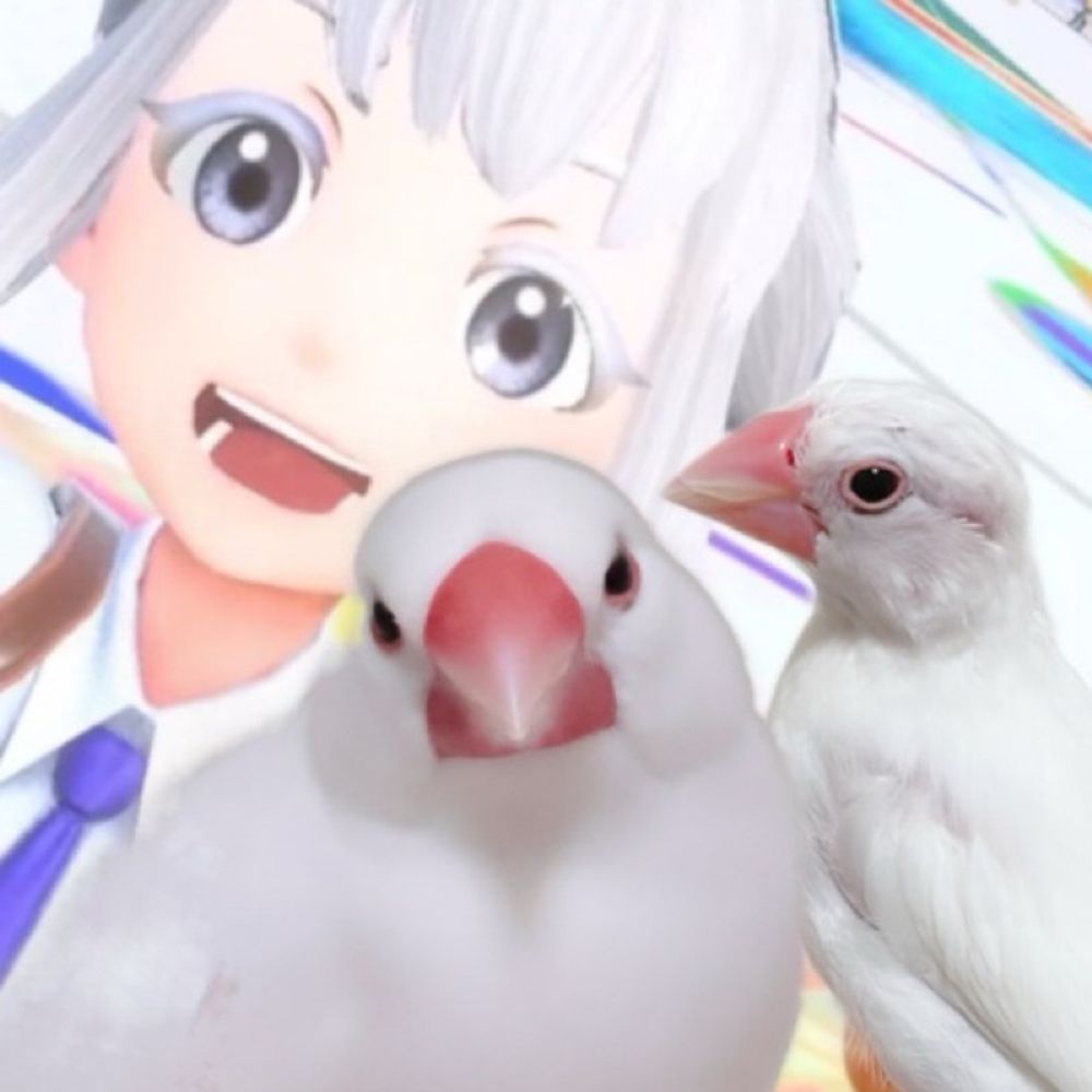 イトハ