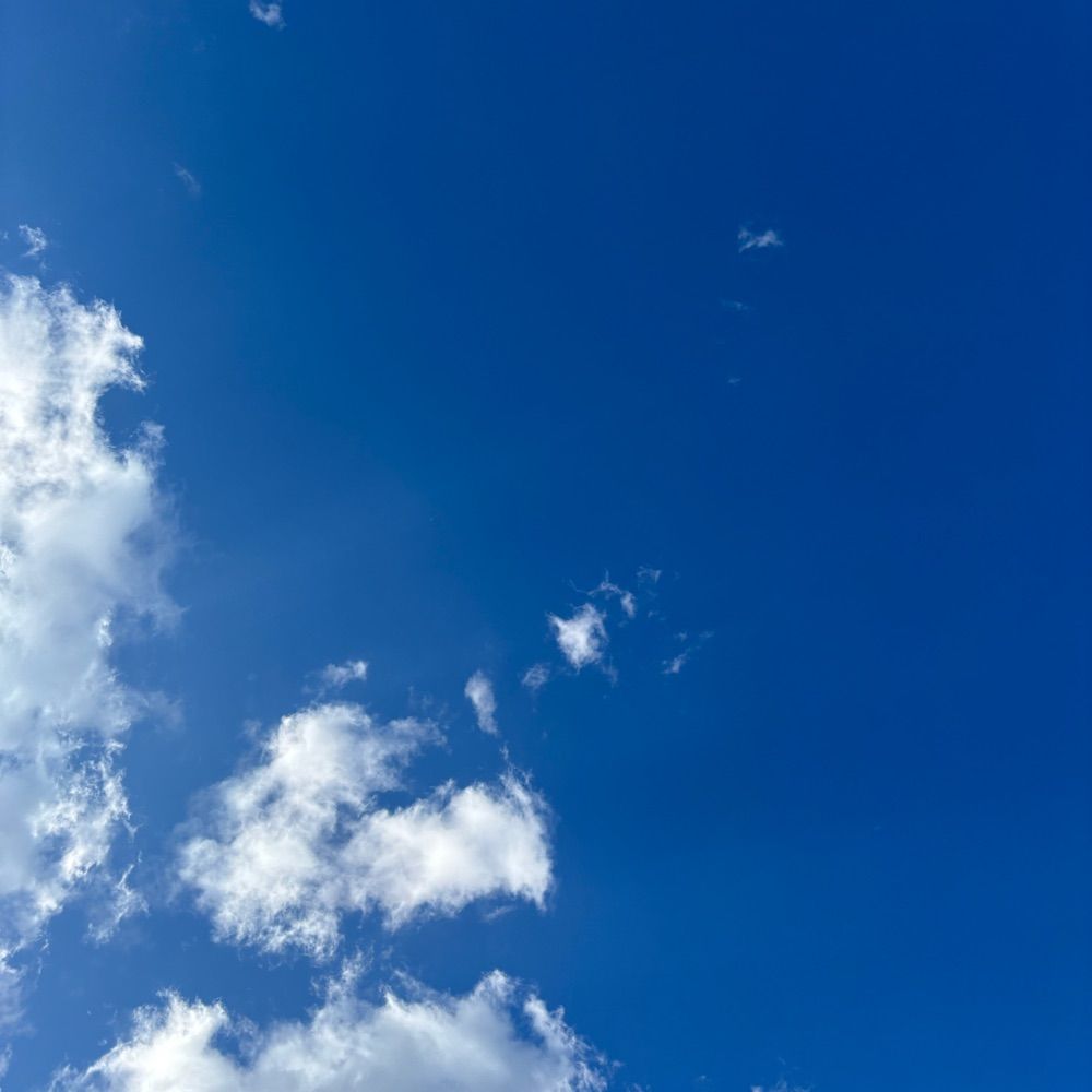 はっぱ