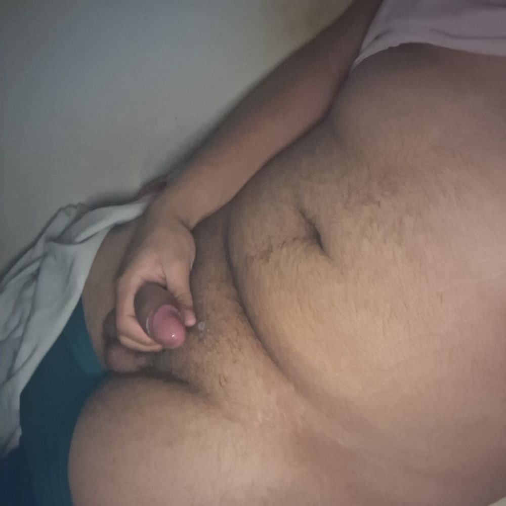 Urso parrudo 