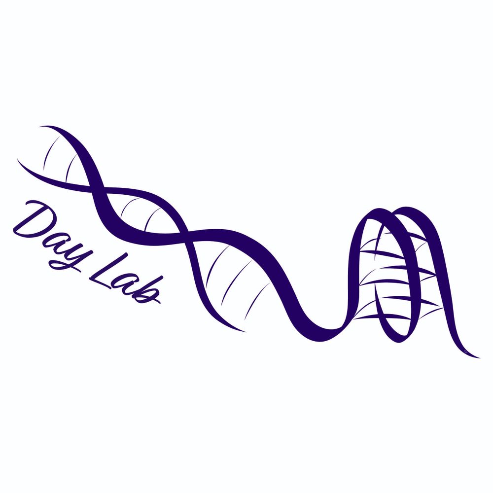 Day Lab
