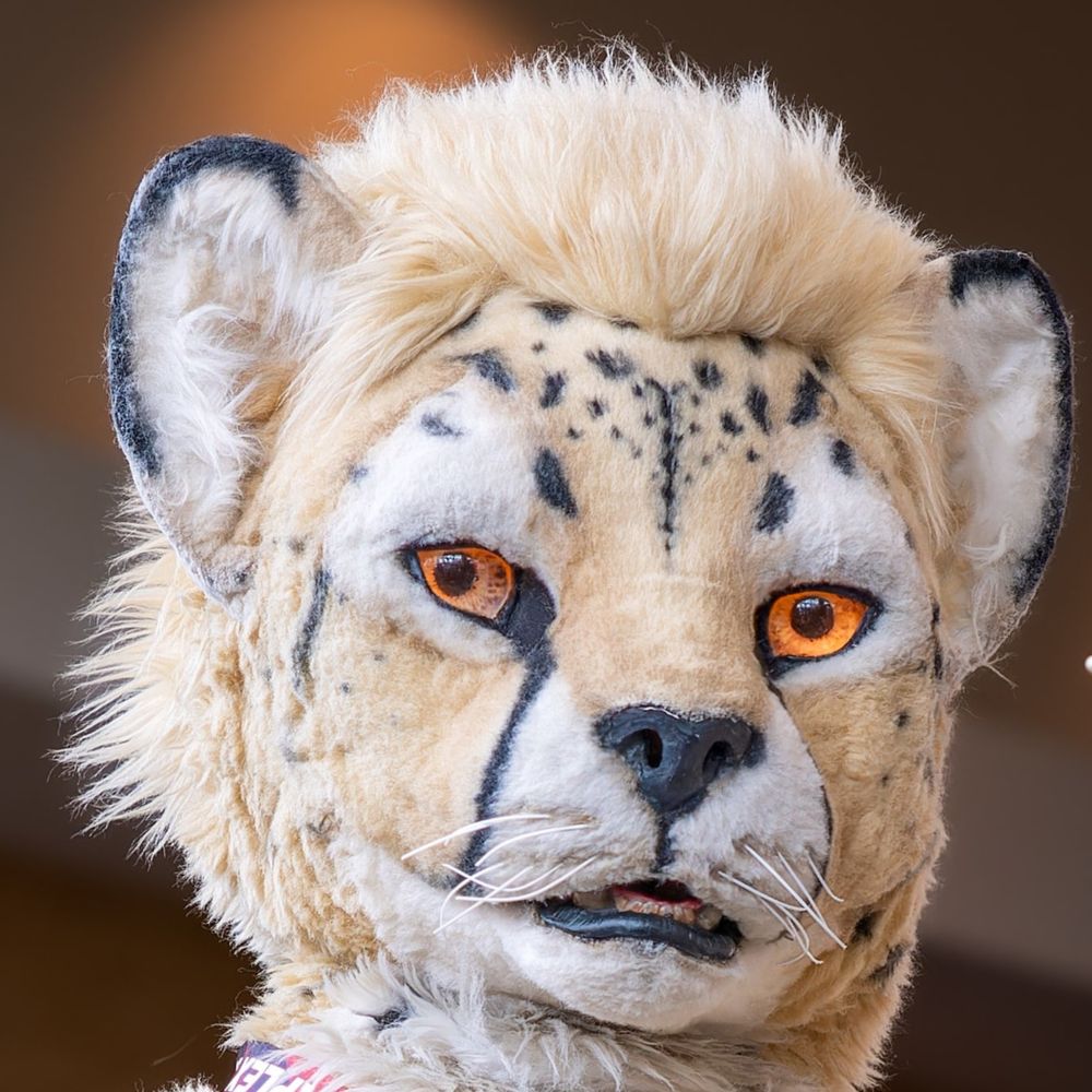 Ransu🔜Anthrocon