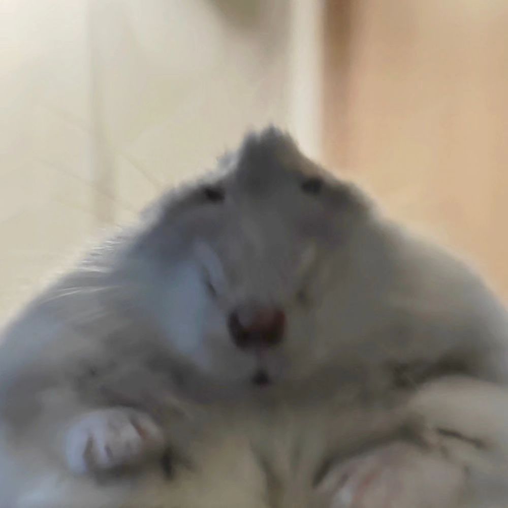 잘못된 선택핑