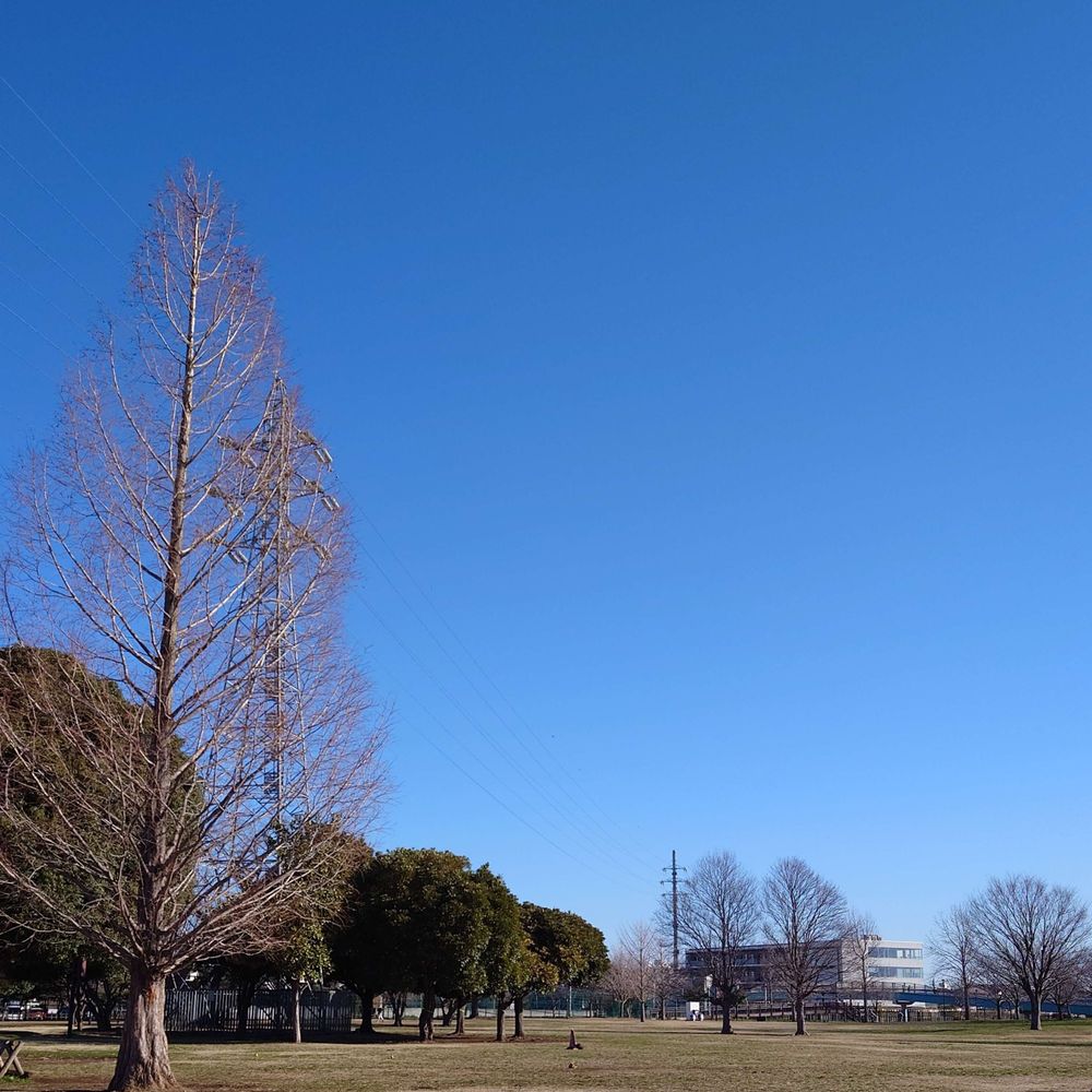 空賀青