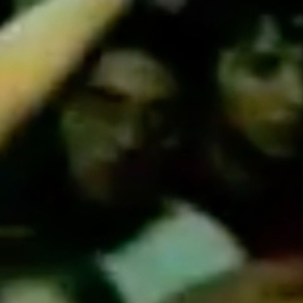 Vijay Raghavan