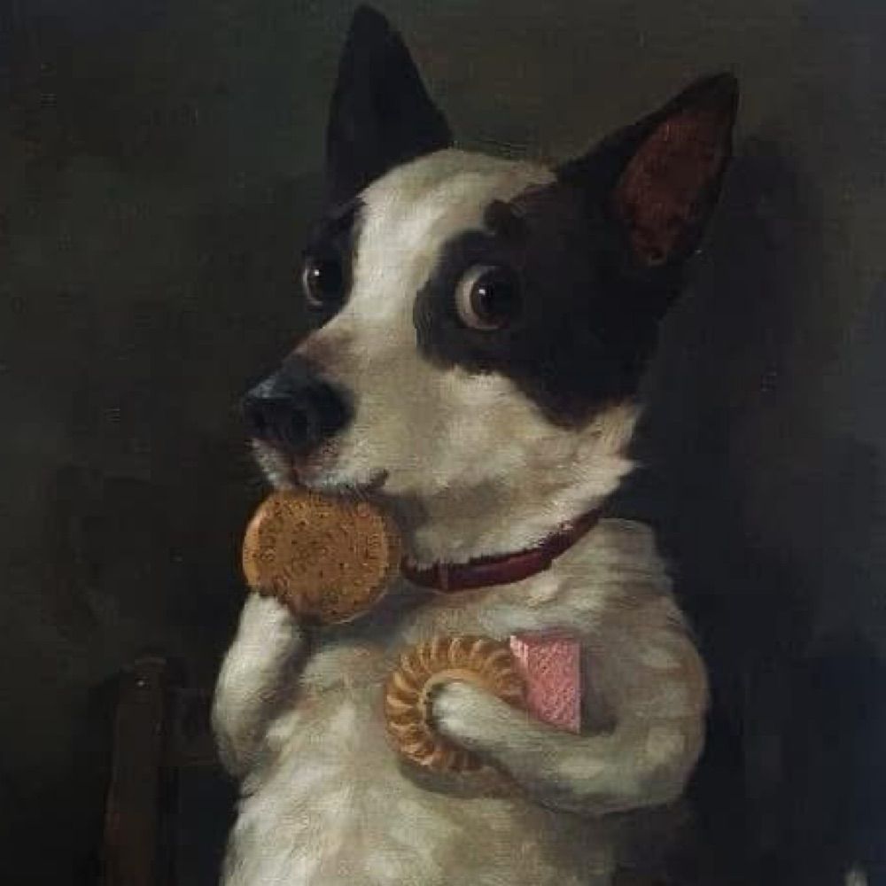 Caitlin Howell