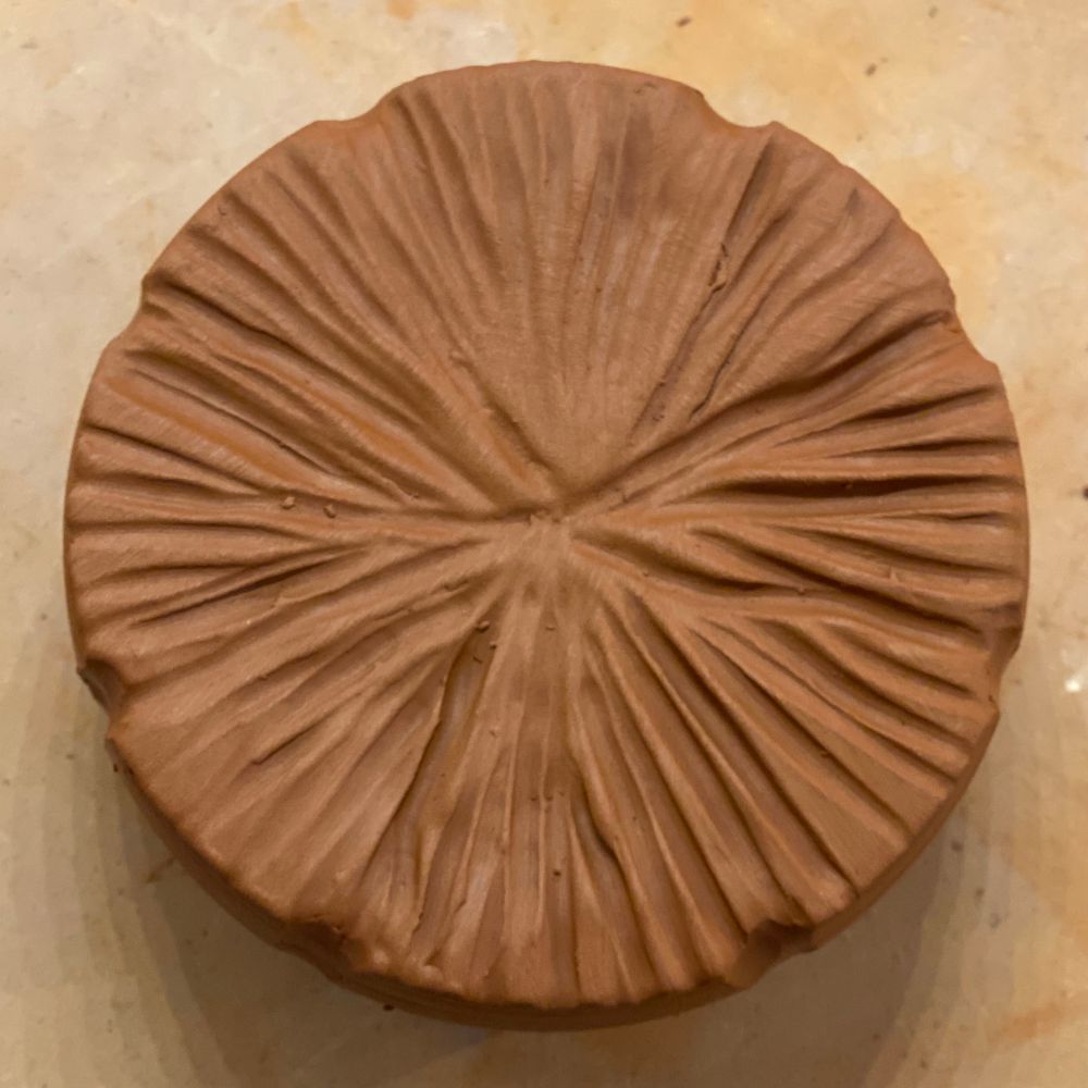 Arborglyph
