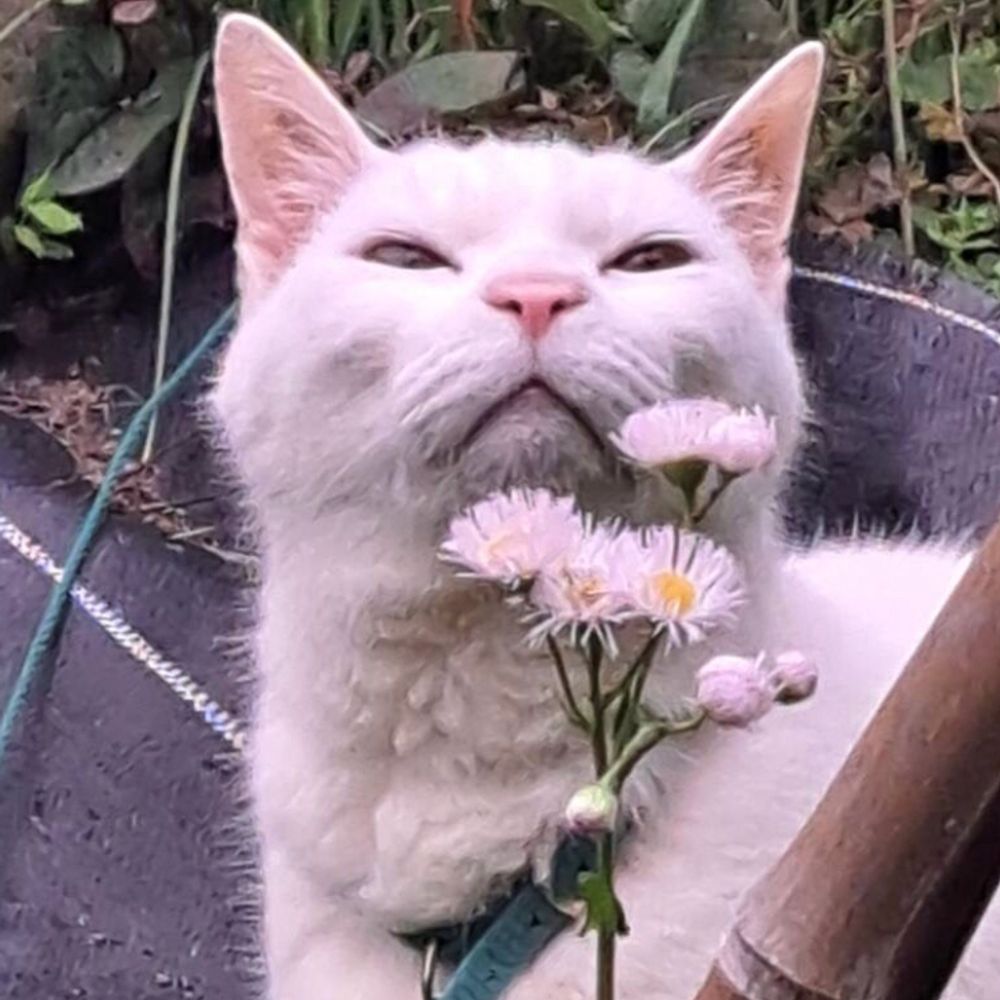 ゆっきー
