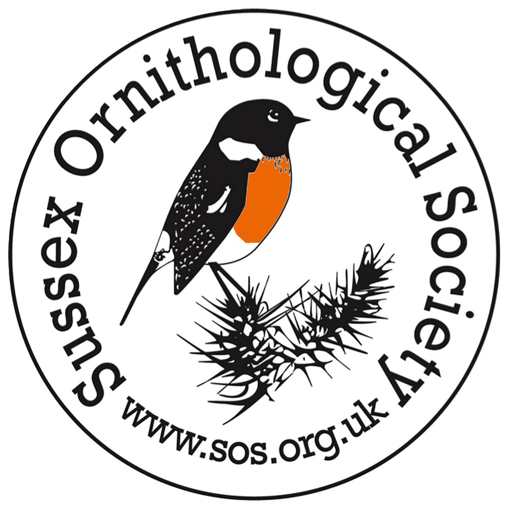 Sussex Ornithology