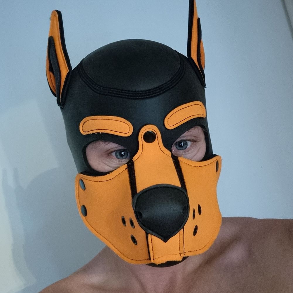Pup Milo