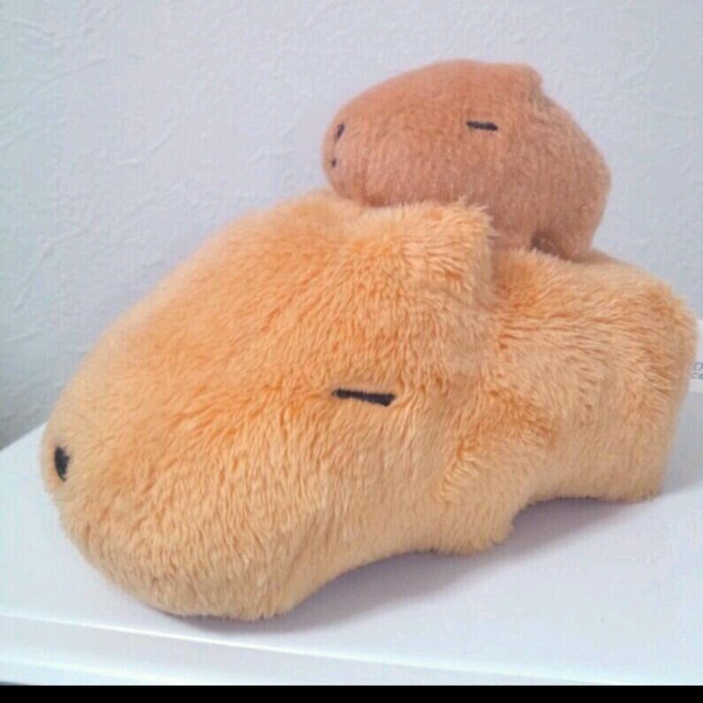 こころん