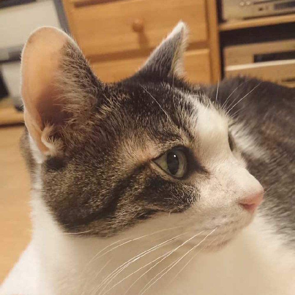 桃